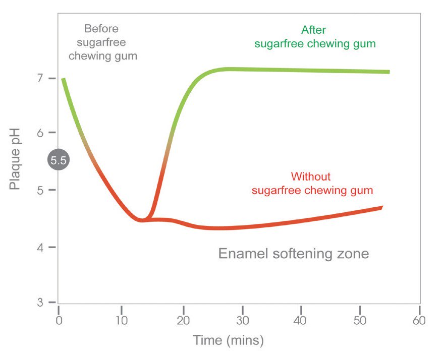 Chewing gum .cms